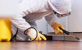 Best Pest Prevention Services  in Mount Pleasant, MI